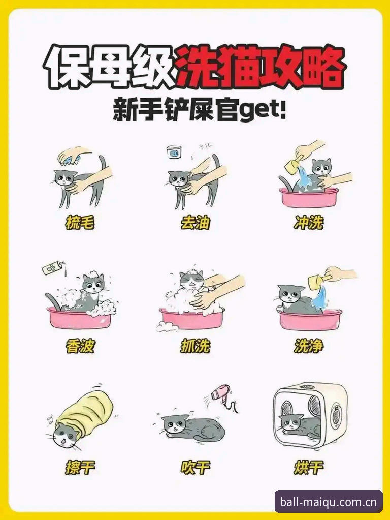 新手必看！买球APP功能安装教程——资深用户分享实战经验与避坑指南